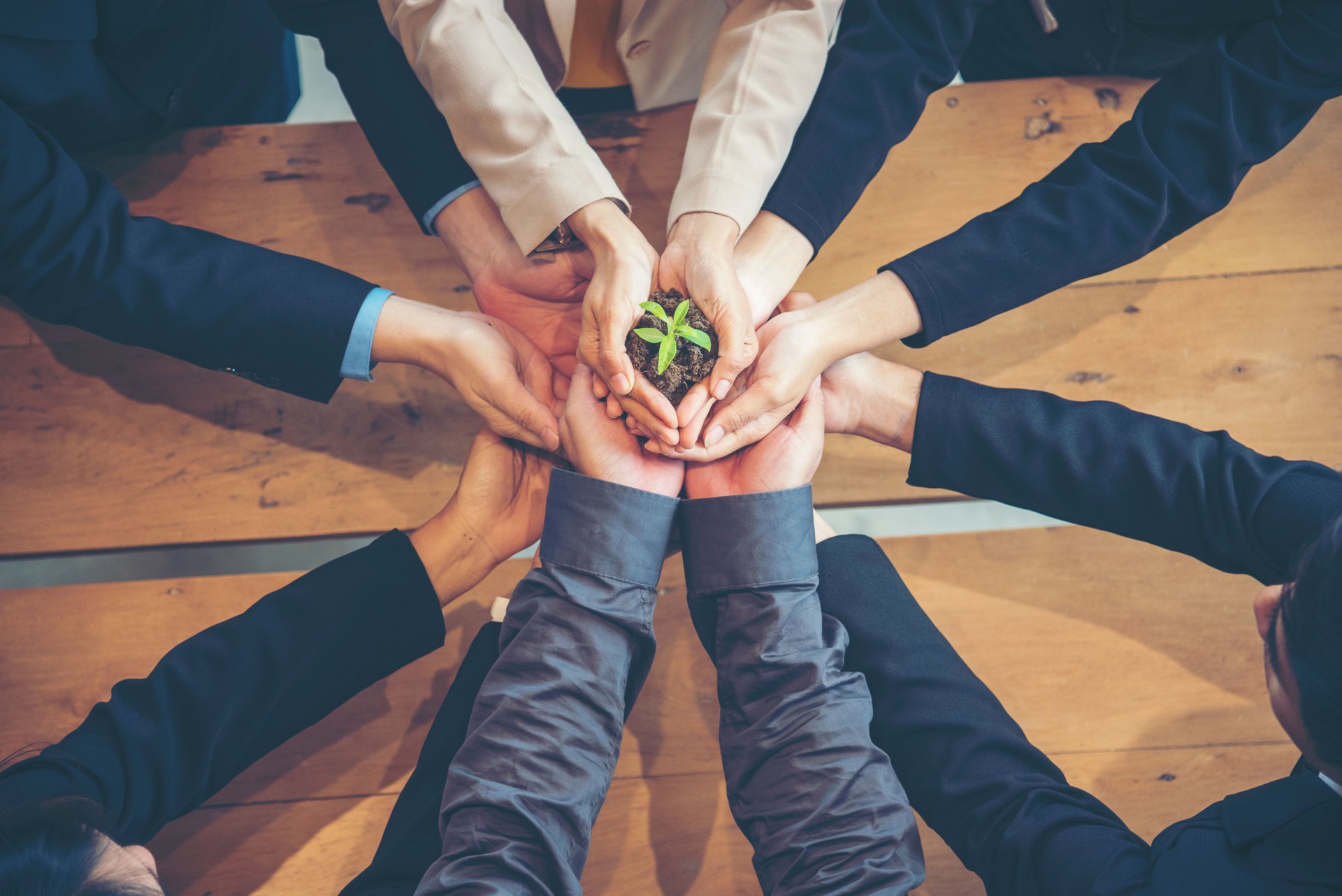 Réunion d’affaires verte. United Partners Team avec les mains ensemble tenant des amis de confiance vert usine. Mains empilées Tenue avec des partenaires de durabilité. Faites confiance aux affaires authentiques des gens.